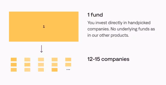 Co invest structure