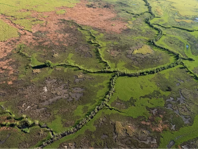 green landscpae