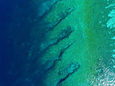 Aerial photograph of a tropical coastline