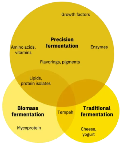 Venn diagram of the different kinds of fermentation