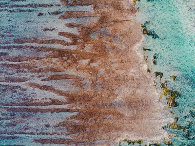 Top-down aerial shot of a shallow tropical seabed where a sandy zone meets a seagrass area